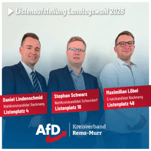 Daniel Lindenschmid, Stephan Schwarz und Maximilian Löbel erfolgreich auf Landesliste der AfD Baden-Württemberg gewählt